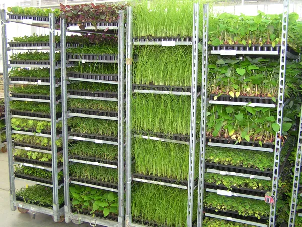 profesionals in gardening
